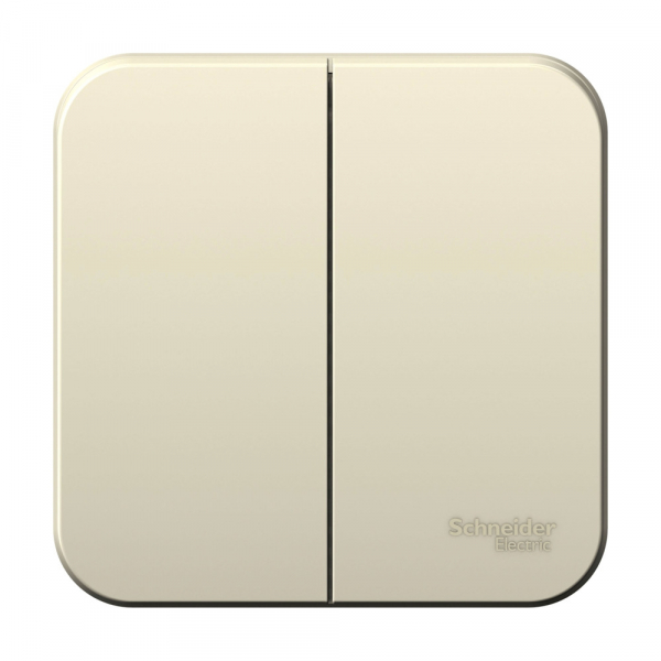 Systeme Electric Blanca наруж Молочный Выключатель 2-клавишный, 10А, 250B