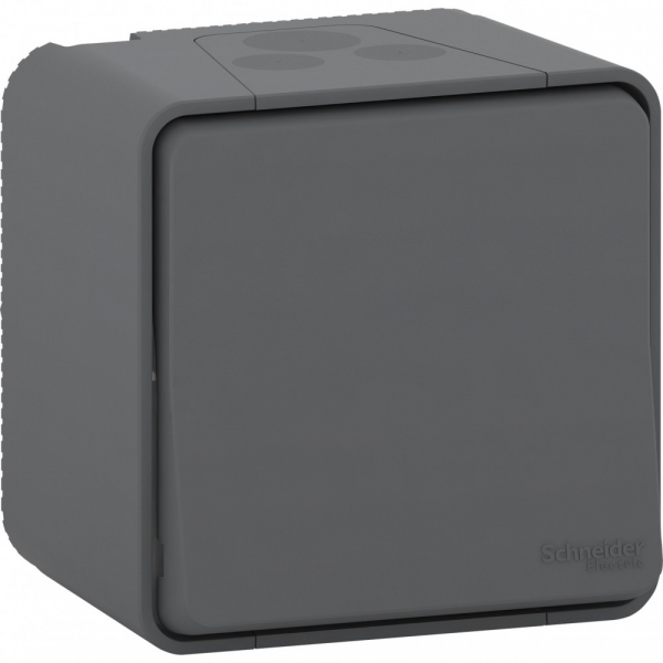 Schneider Electric Mureva Styl наруж Антрацит Переключатель IP55
