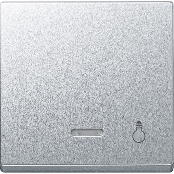 Schneider Electric Merten SM Клавиша со световой индикацией, «свет» (MTN430960)