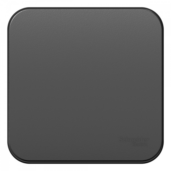 Systeme Electric Blanca наруж Антрацит Переключатель 1-клавишный 10А, 250B, изолир. пластина
