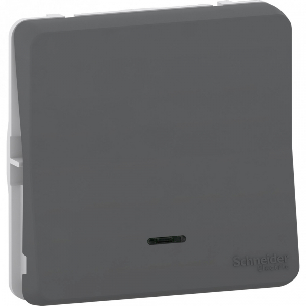 Schneider Electric Mureva Styl Антрацит Выключатель кнопочный с подсветкой, IP55