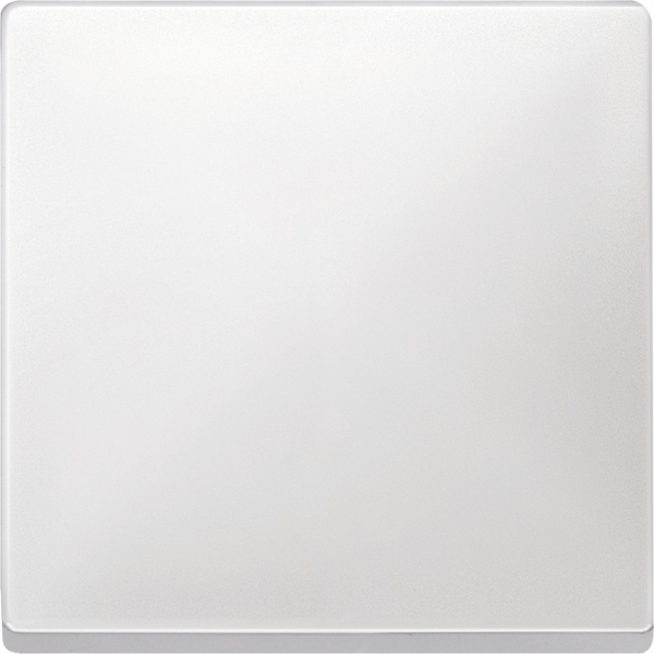 Schneider Electric Merten SD Бел Клавиша 1-ая (термопласт)