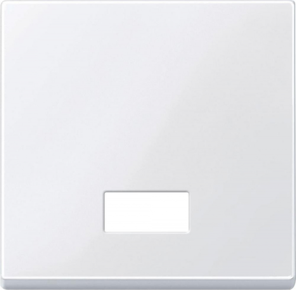Schneider Electric Merten SM Бел Актив Клавиша с прямоугольным окошком для символов