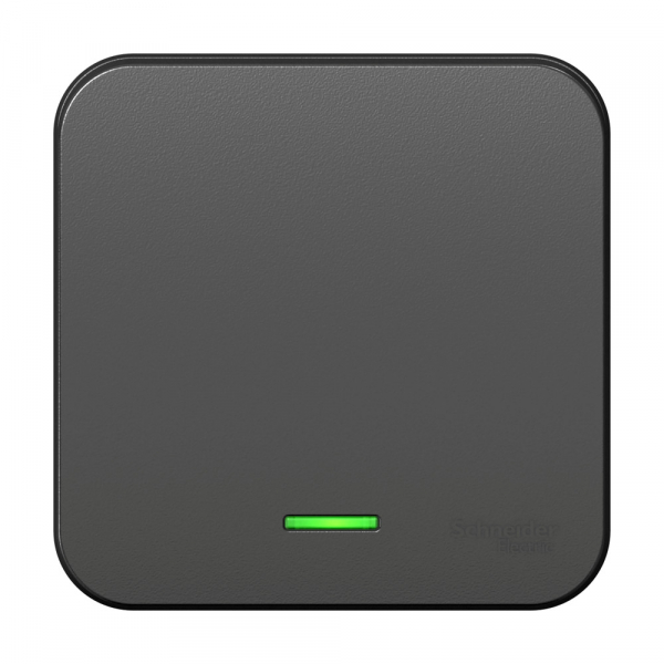 Systeme Electric Blanca наруж Антрацит Выключатель 1-клавишный с подсветкой , 10А, 250B, изолир. пластина