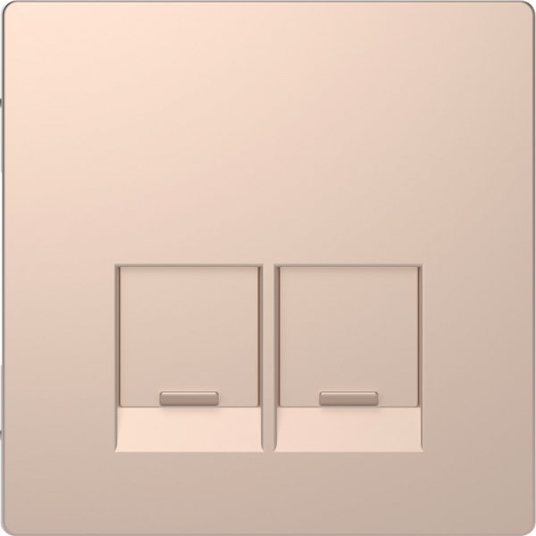 Schneider Electric Merten D-Life Шампань Накладка центральная для 2-х модульных разъемов, пол. д/надписи