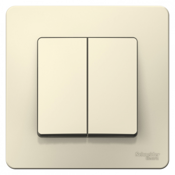 Systeme Electric Blanca внутр Молочный Выключатель 2-клавишный 6А, 250В