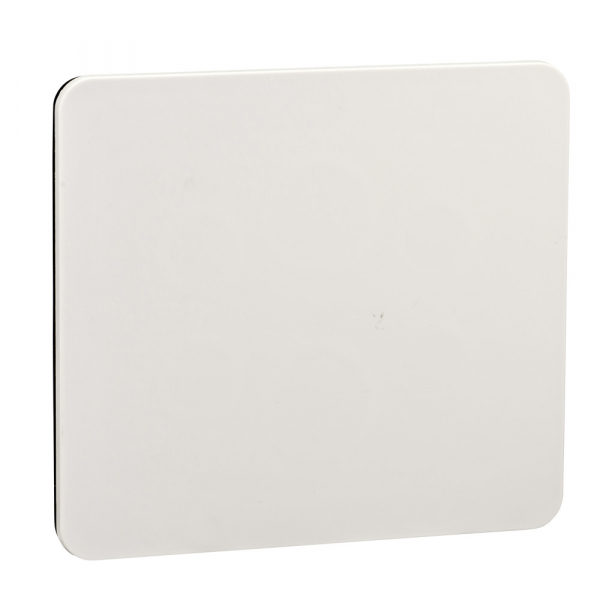 Schneider Electric Kaedra Плата для отверстия 90x100 для кнопок
