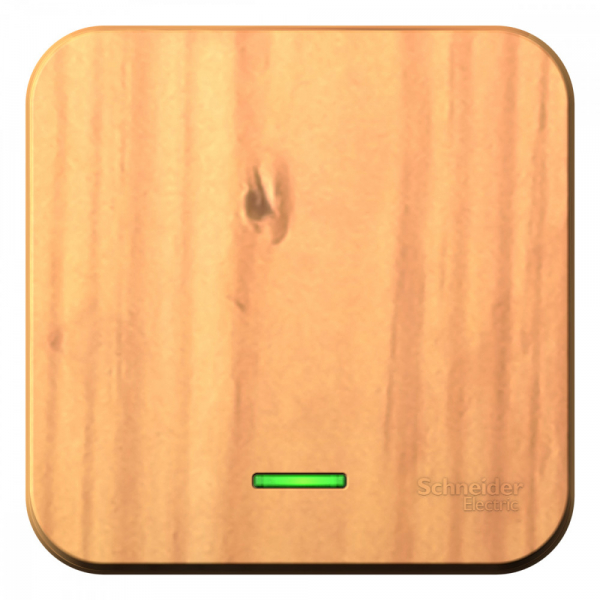 Systeme Electric Blanca наруж Ясень Выключатель 1-клавишный с подсветкой 10А,250B, изолир. пластина