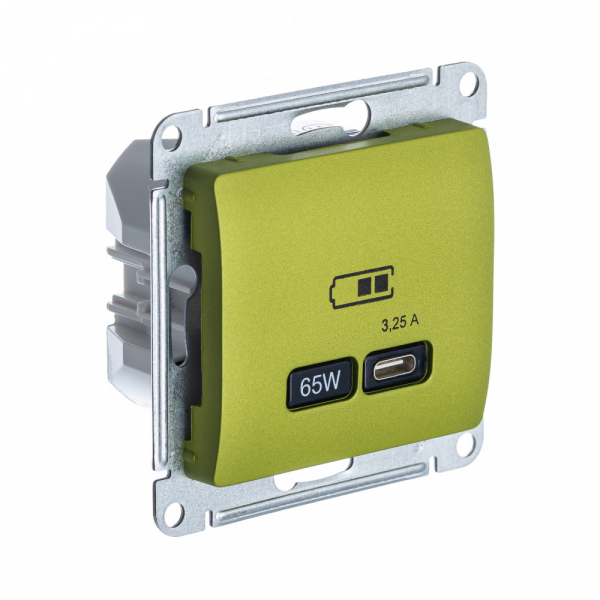 Systeme Electric Glossa Фисташковый USB Розетка тип-C 65W высокоскор.заряд. QC, PD, мех.