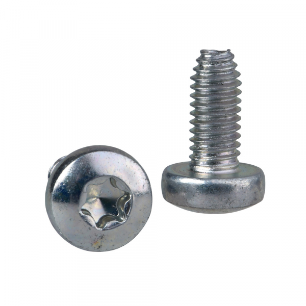 Schneider Electric Sarel Винт самонарезающий TORX T30 (M6x12)