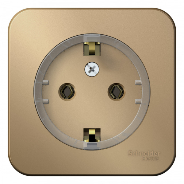 Systeme Electric Blanca наруж Титан Розетка с/з без шторок, (компакт) 16А, 250В, изолир. пластина