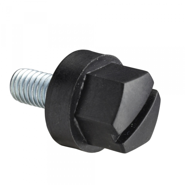 Schneider Electric Sarel Винт с изолир. головкой М5х10