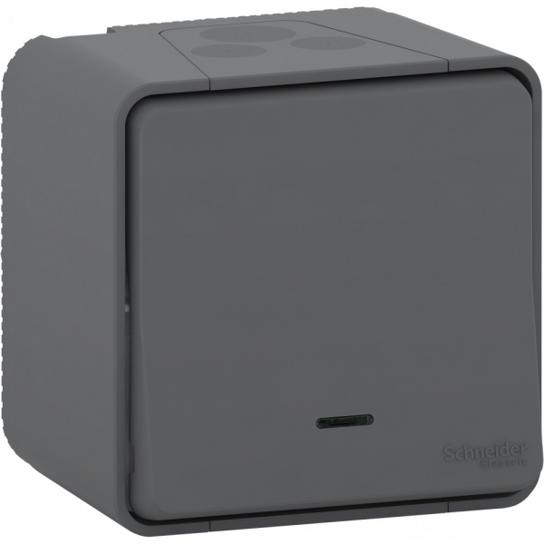 Schneider Electric Mureva Styl наруж Антрацит Переключатель с подсветкой, IP55