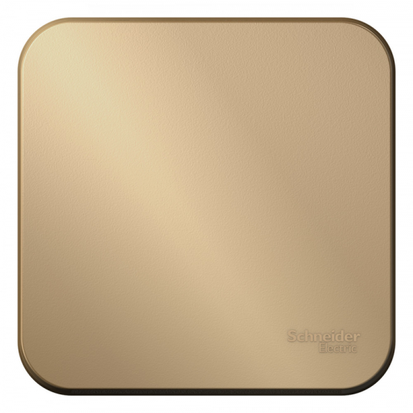 Systeme Electric Blanca наруж Титан Выключатель 1-клавишный 10А, 250B, изолир. пластина