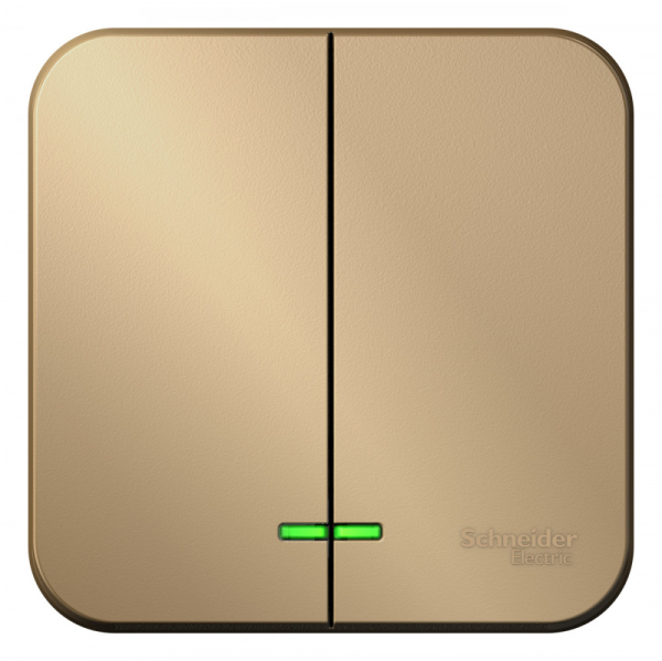 Systeme Electric Blanca наруж Титан Выключатель 2-клавишный с подсветкой, 10А, 250B