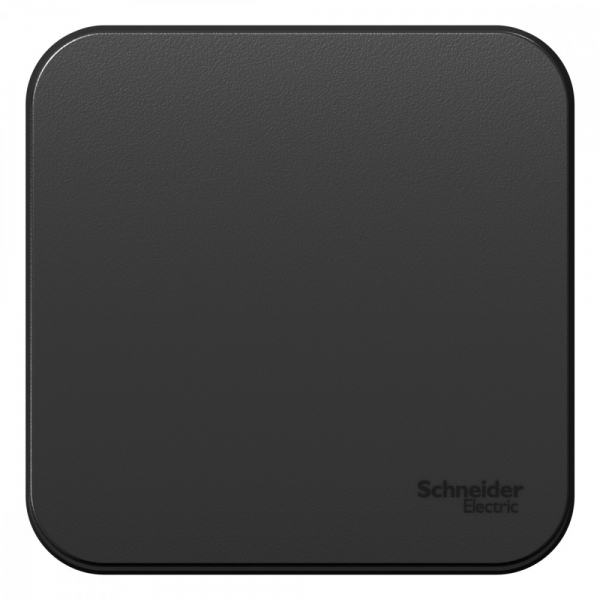 Systeme Electric Blanca наруж Антрацит Выключатель 1-клавишный, 10А, 250B