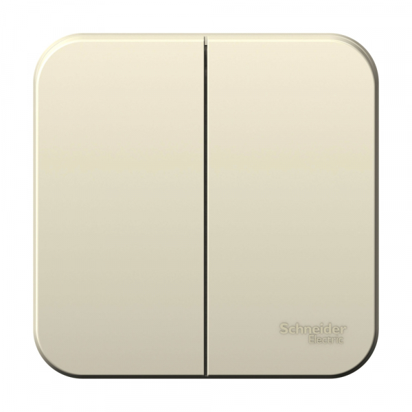 Systeme Electric Blanca наруж Молочный Выключатель 2-клавишный, 6А, 250В