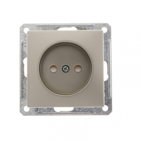Systeme Electric Wessen 59 Шампань Розетка б/з