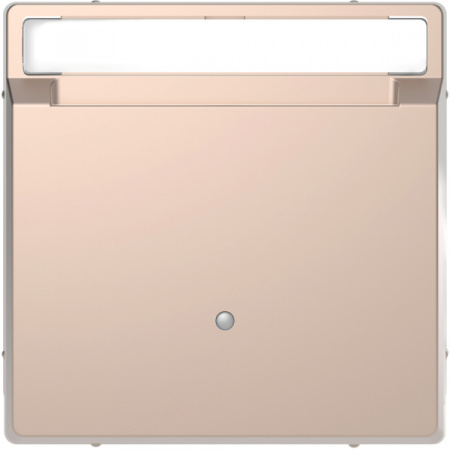 Schneider Electric Merten D-Life Шампань Выключатель с ключюм-картой д/гостиниц