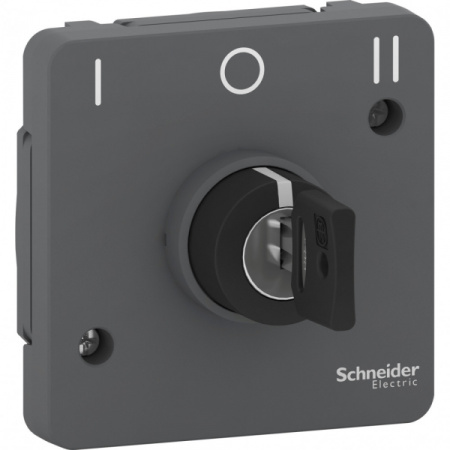 Schneider Electric Mureva Styl Антрацит Переключатель с ключом на 3 положения, 3А, IP55