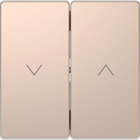 Schneider Electric Merten D-Life Шампань Клавиша-кнопка для жалюзи