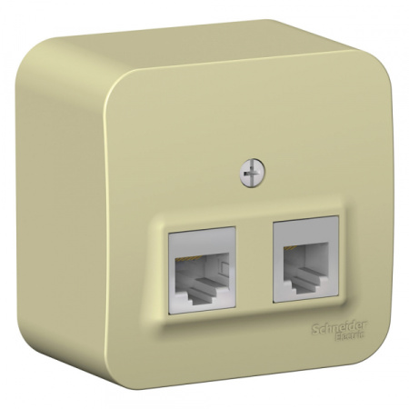 Systeme Electric Blanca наруж Беж Розетка 2-ая: компьютерная RJ45, кат.5E + телефонная RJ11, изолир. пластина