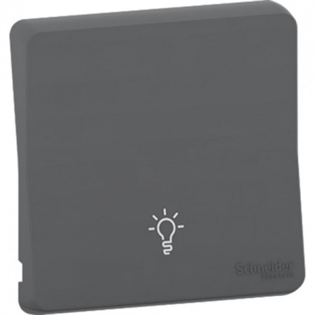 Schneider Electric Mureva Styl Антрацит Клавиша с символом «свет», IP55