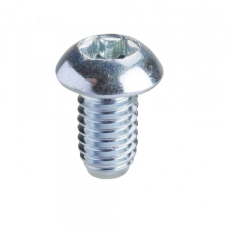Schneider Electric Sarel Винт TORX T30 (M6x10)