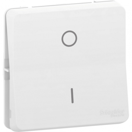 Schneider Electric Mureva Styl Бел Переключатель 2-полюсный, IP55