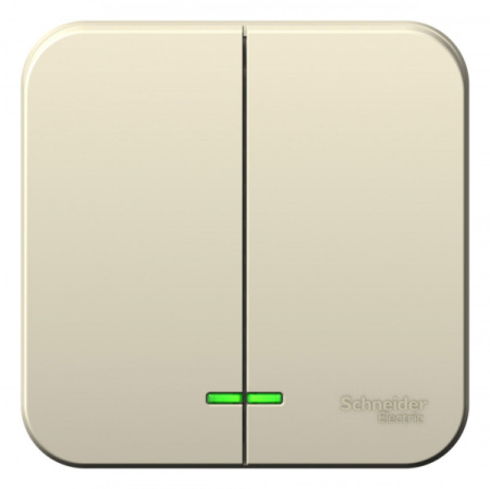 Systeme Electric Blanca наруж Молочный Выключатель 2-клавишный с подсветкой 10А, 250B, изолир. пластина