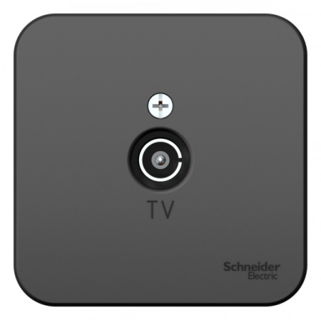 Systeme Electric Blanca наруж Антрацит Розетка TV, изолир. пластина