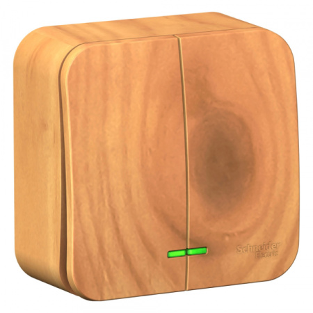 Systeme Electric Blanca наруж Ясень Выключатель 2-клавишный с подсветкой, 10А, 250B