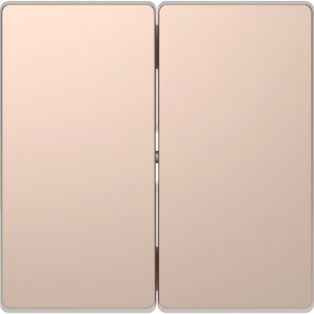 Schneider Electric Merten D-Life Шампань Клавиша 2-ая