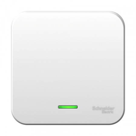 Systeme Electric Blanca наруж Бел Выключатель 1-клавишный с подсветкой, 10А, 250B, монтажная пластина