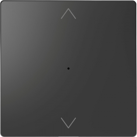 Schneider Electric Merten D-Life Антрацит PlusLink Клавиша 1-ая с символами вх/вз