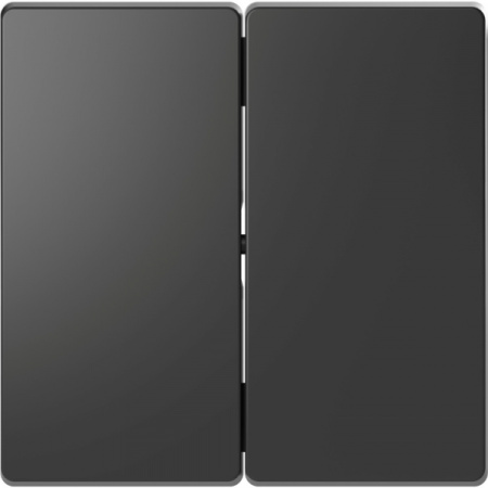 Schneider Electric Merten D-Life Антрацит Клавиша 2-ная