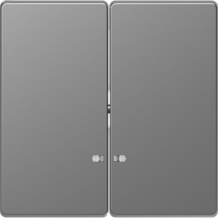 Schneider Electric Merten D-Life Нержавеющая Сталь Клавиша 2-ная с линзой для LED модуля