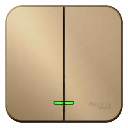 Systeme Electric Blanca наруж Титан Выключатель 2-клавишный с подсветкой 10А,250B, изолир. пластина