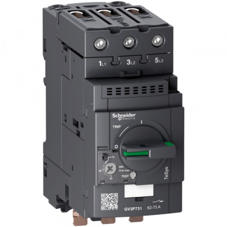 Schneider Electric Автоматический выключатель с комбинированным расцепителем 62-73А 1 Блок Everlink