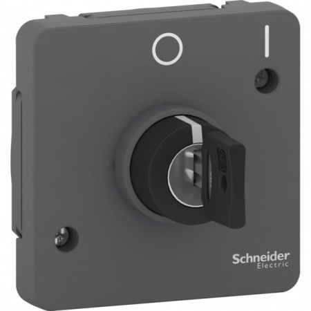Schneider Electric Mureva Styl Антрацит Переключатель с ключом на 2 положения,3А, IP55