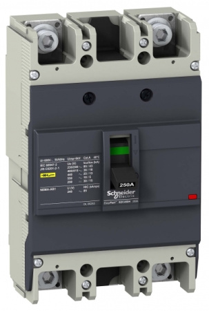 Schneider Electric EasyPact EZC250 Автоматический выключатель 36кA 415В 3P/2Т 225А