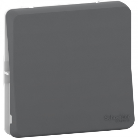 Schneider Electric Mureva Styl Антрацит Переключатель, механизм IP55