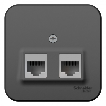Systeme Electric Blanca наруж Антрацит Розетка 2-ая компьютерная RJ45, кат.5E, изол. пластина