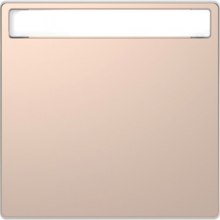 Schneider Electric Merten D-Life Шампань Клавиша 1-ая с полем д/надписи