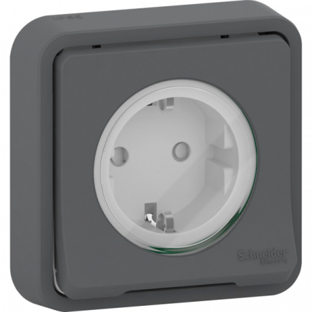 Schneider Electric Mureva Styl внутр Антрацит Розетка с/з и шторками, IP55