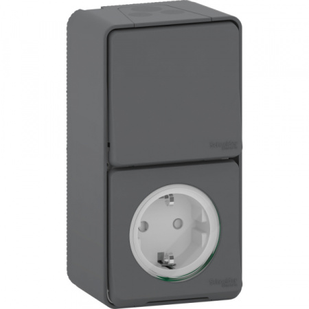 Schneider Electric Mureva Styl наруж Антрацит Блок: Розетка+переключатель, IP55