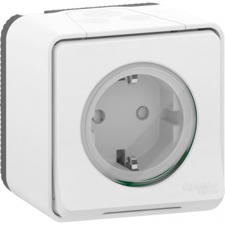 Schneider Electric Mureva Styl наруж Бел Розетка с/з и шторками, винт. клеммы, IP55