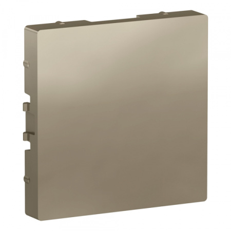 Systeme Electric AtlasDesign Шампань Заглушка