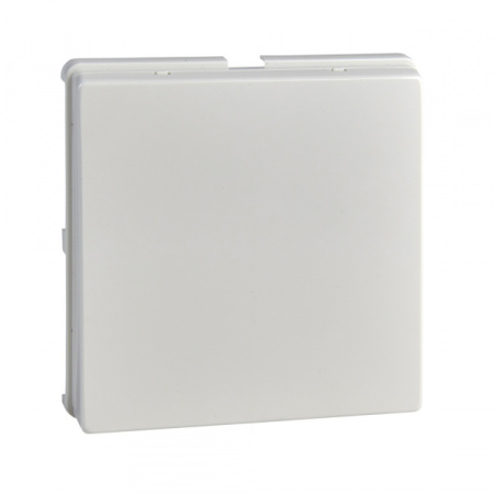 Schneider Electric Merten Aquadesign Полярно-Бел Кольцо промежуточное с крышкой (MTN516519)