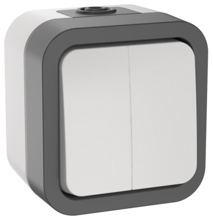 IEK TORS Выключатель двухклавишный 10А IP55 TS205 белый